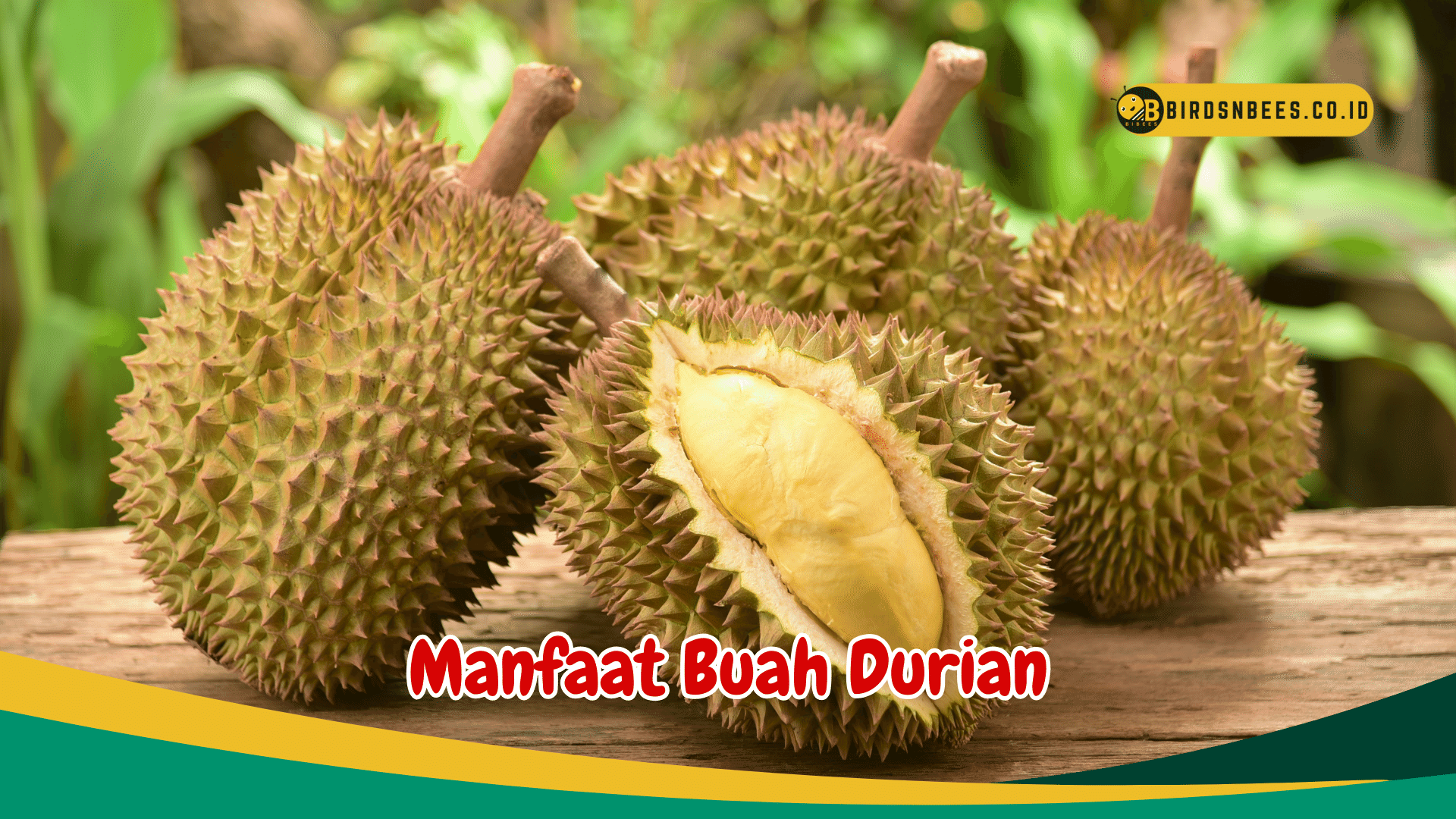 Jarang Diketahui Manfaat Buah Durian Untuk Kesehatan Salah Satunya