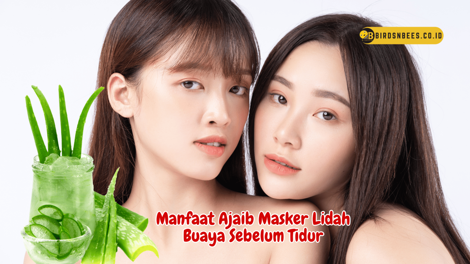 Manfaat Ajaib Masker Lidah Buaya Sebelum Tidur Untuk Kulit Anda Yang