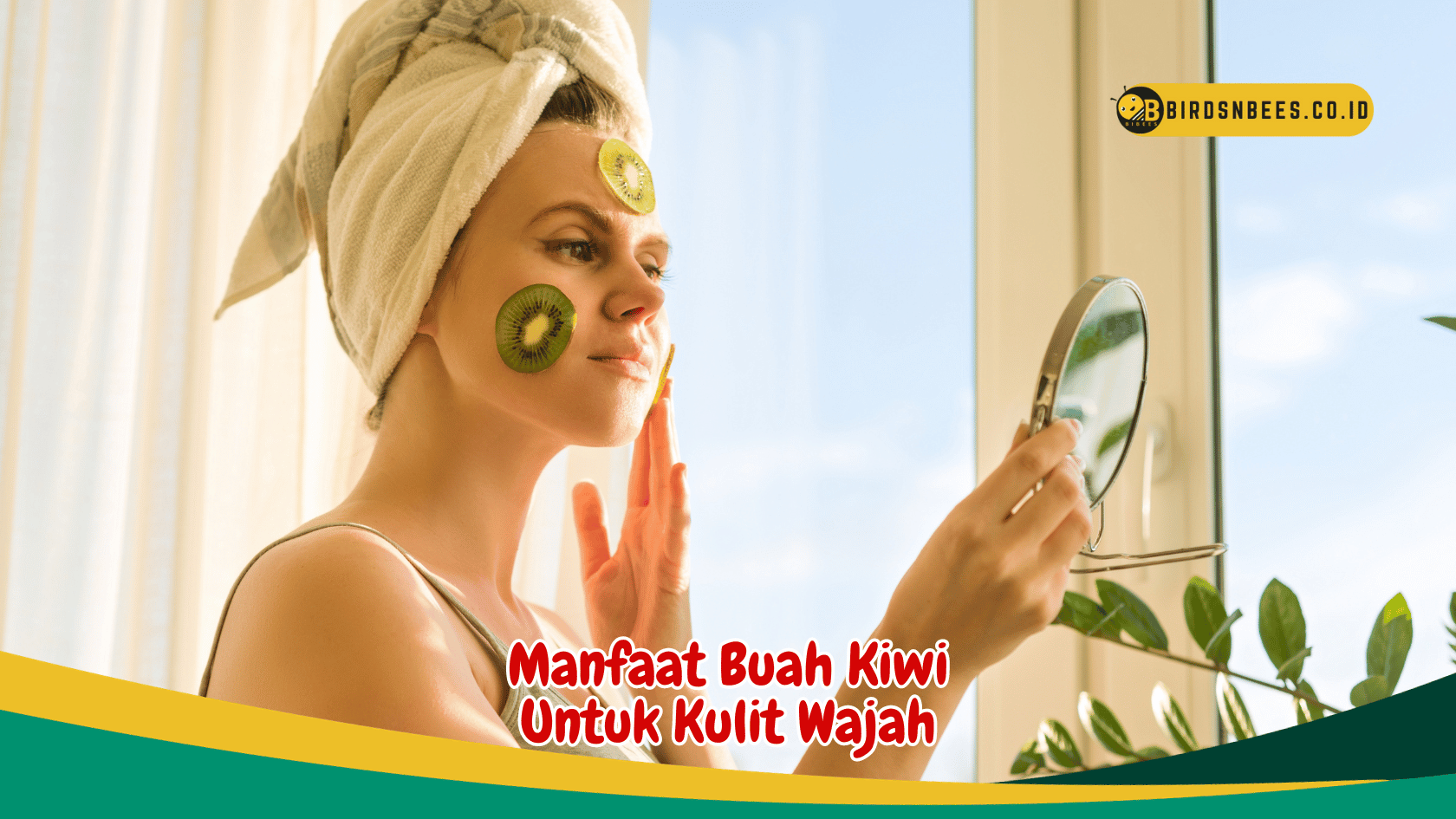 Jelajahi Manfaat Buah Kiwi Untuk Kecantikan Alami Kulit Wajah Birds N