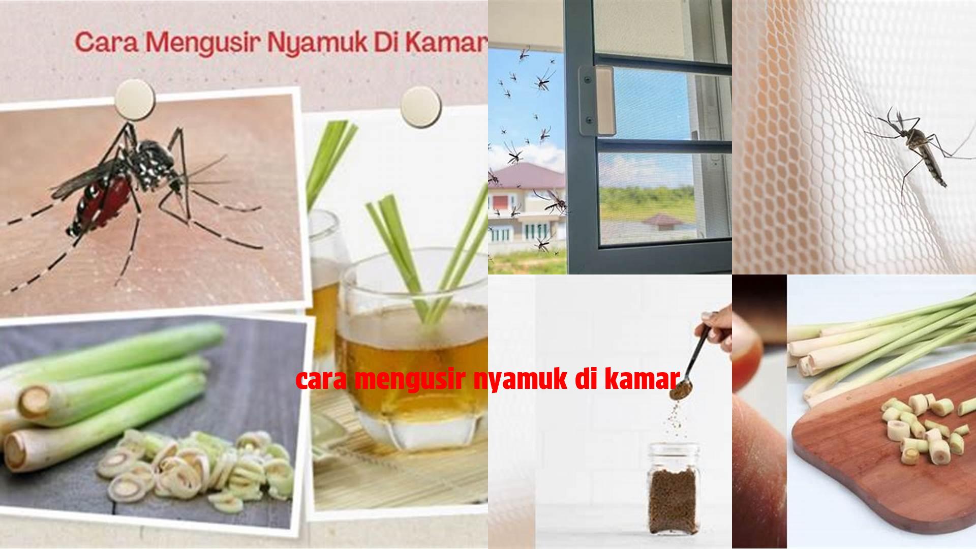 Tips Jitu Mengusir Nyamuk di Kamar, Referensi Ampuh Tidur Nyenyak!