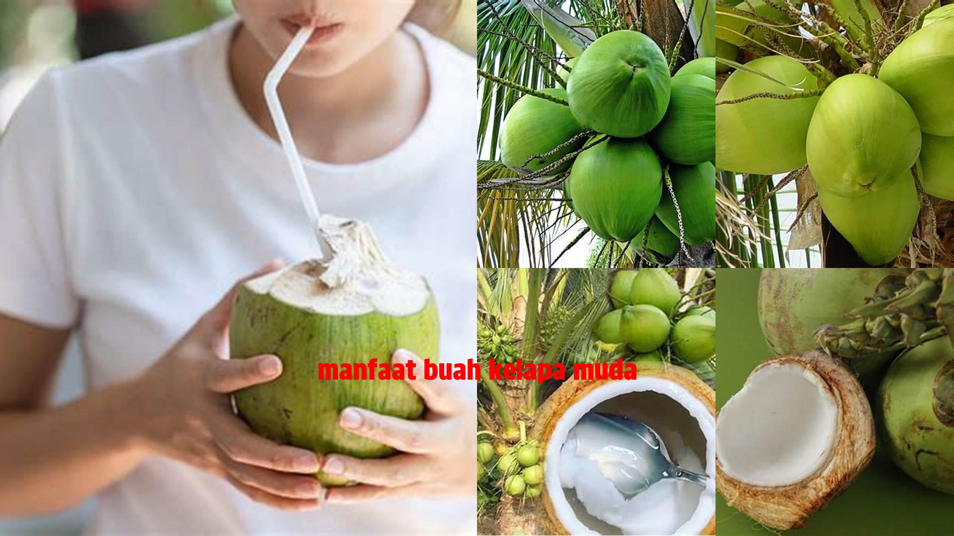 3 Khasiat Buah Kelapa Muda yang Jarang Diketahui