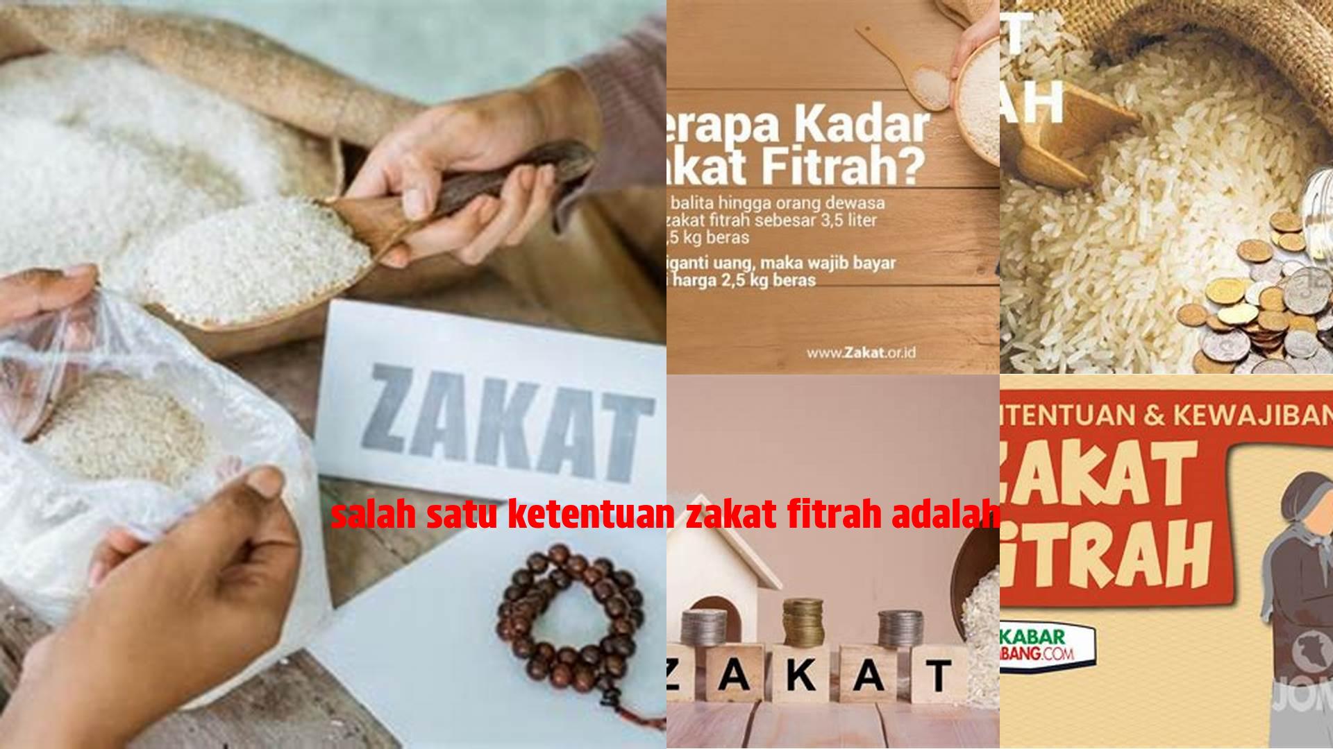 Panduan Zakat Fitrah: Pahami Salah Satu Ketentuannya