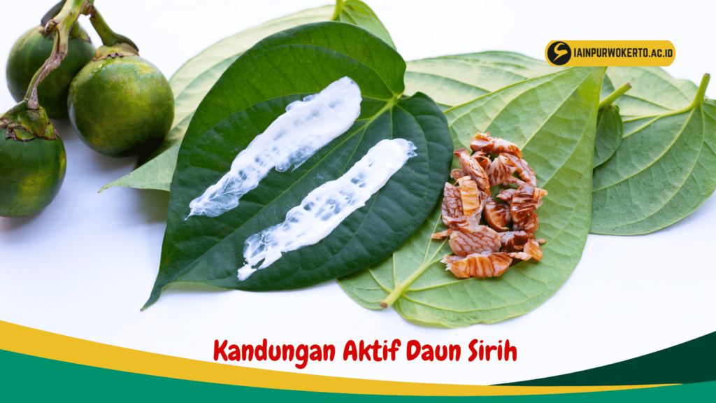 Kandungan Aktif Daun Sirih