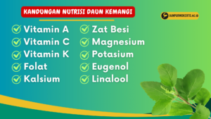 Kandungan nutrisi Daun Kemangi