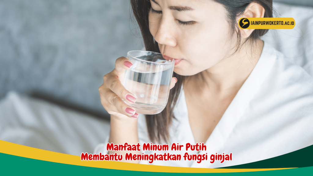 Manfaat Minum Air Putih Membantu Meningkatkan fungsi ginjal