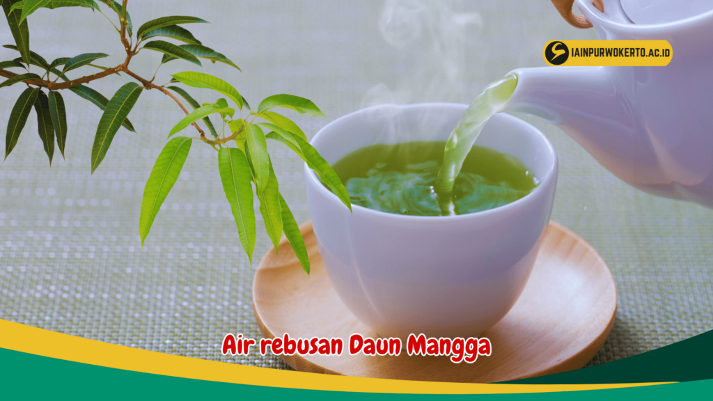 Air rebusan Daun Mangga