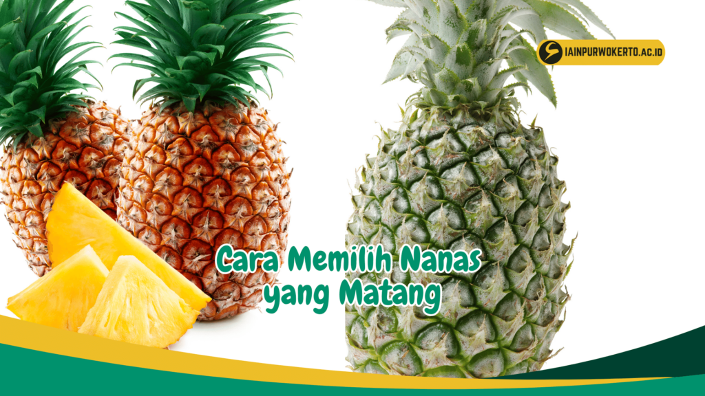 Cara Memilih Nanas yang Matang