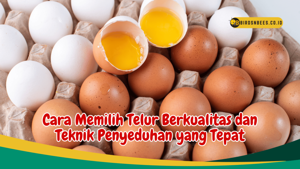 Cara Memilih Telur Berkualitas dan Teknik Penyeduhan yang Tepat