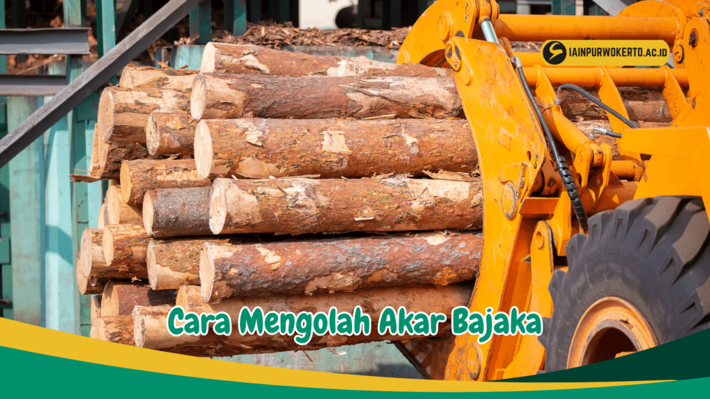 Cara Mengolah Akar Bajakah