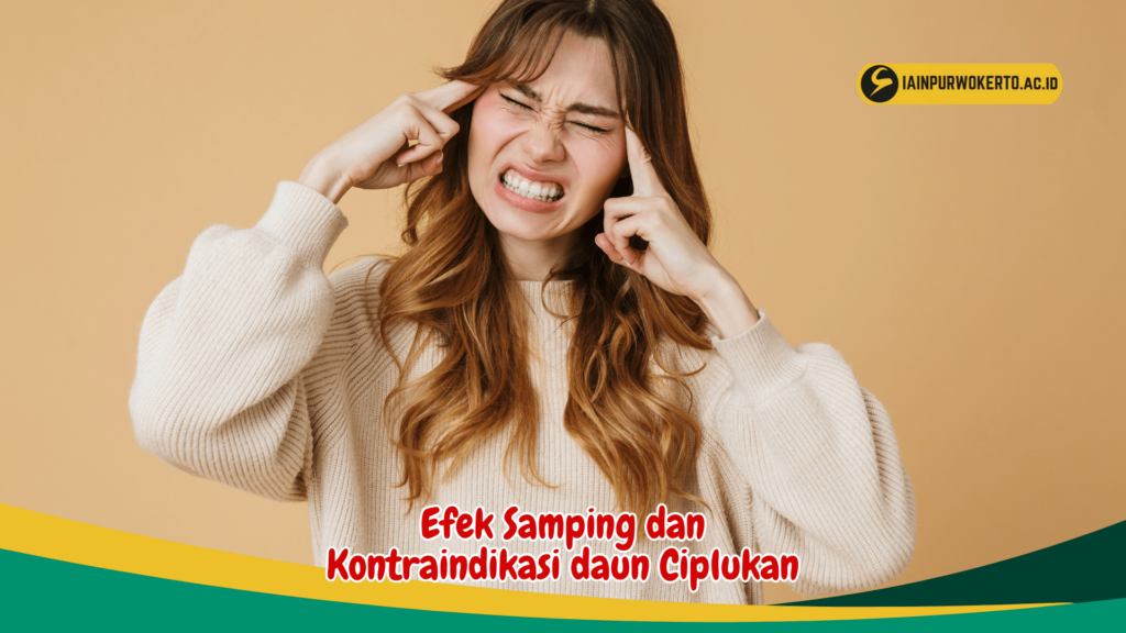 Efek Samping dan Kontraindikasi daun Ciplukan