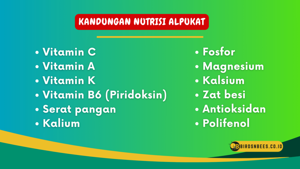 Kandungan Nutrisi Buah Apel