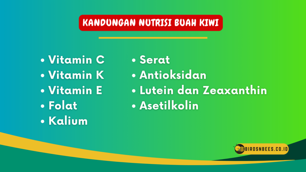 Kandungan Nutrisi Buah Kiwi