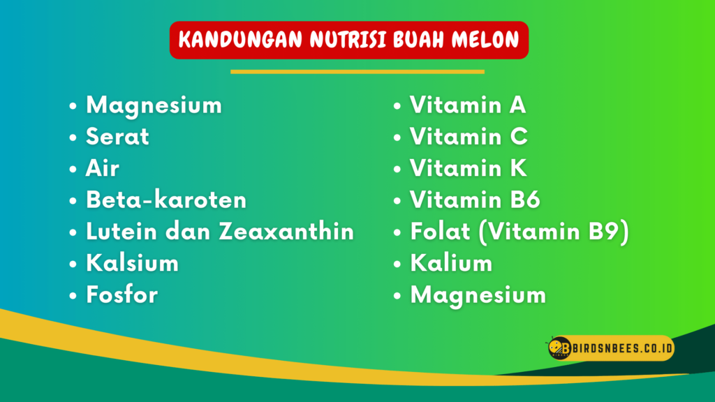 Kandungan Nutrisi Buah Melon