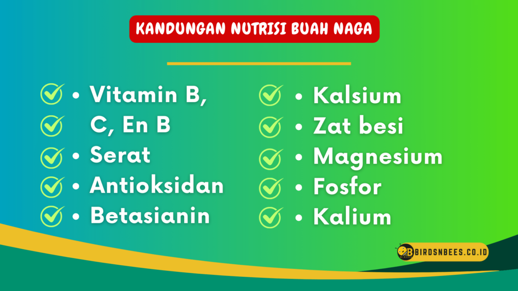 Kandungan Nutrisi Buah Naga