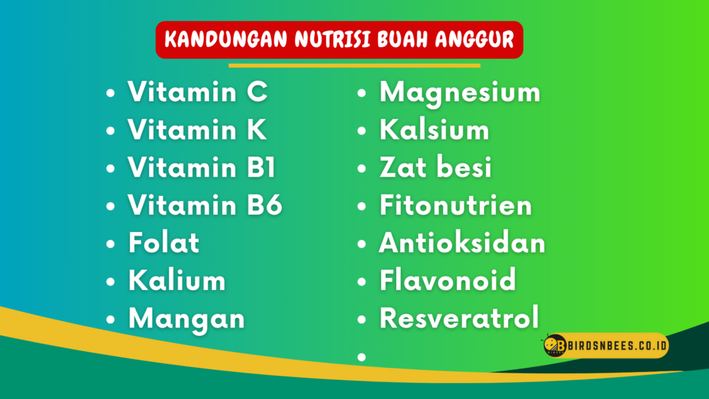 Kandungan Nutrisi Buah Anggur