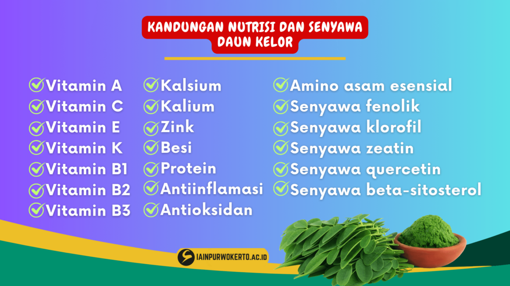 List Kandungan Nutrisi dan Senyawa Daun Kelor