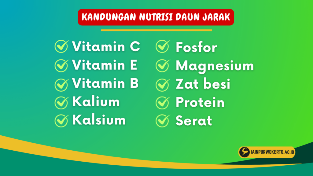 Kandungan Nutrisi daun jarak