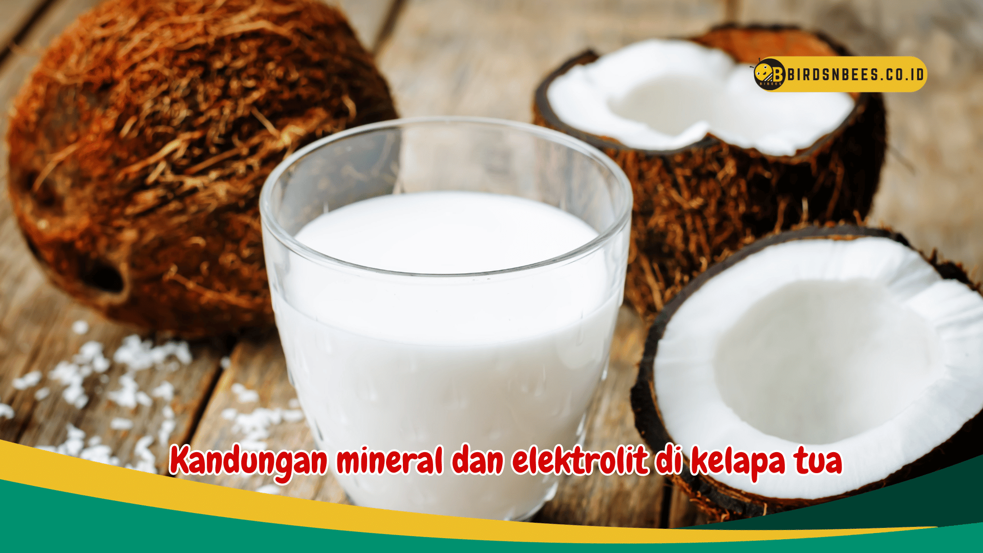 Ketahui 4 Manfaat Penting Air Kelapa Tua Untuk Kesehatan Bisa Jadi