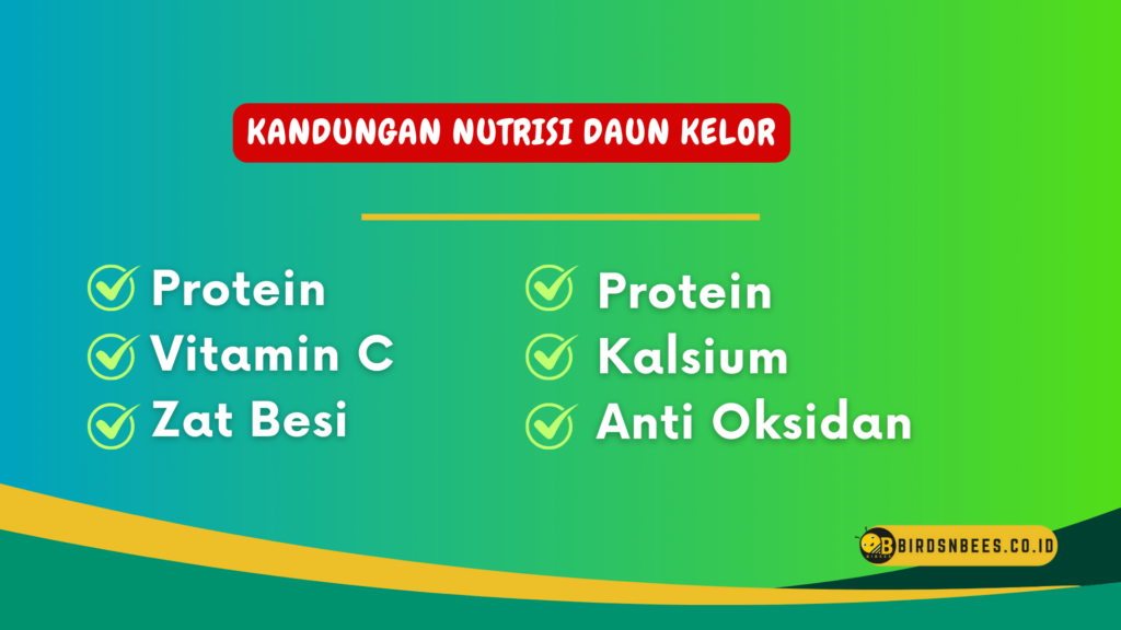 Kandungan nutrisi daun kelor