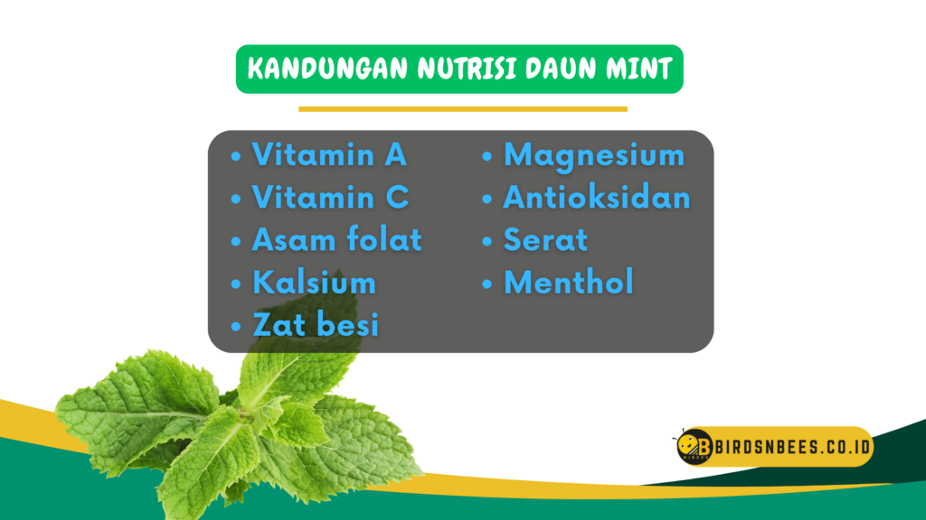 Kandungan nutrisi daun mint