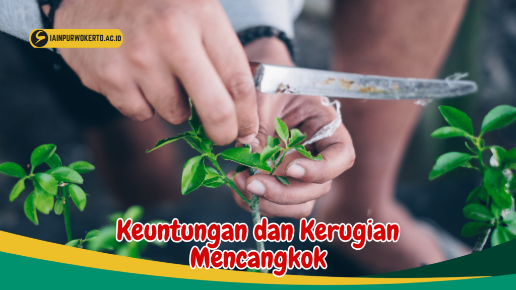 Keuntungan dan Kerugian Mencangkok