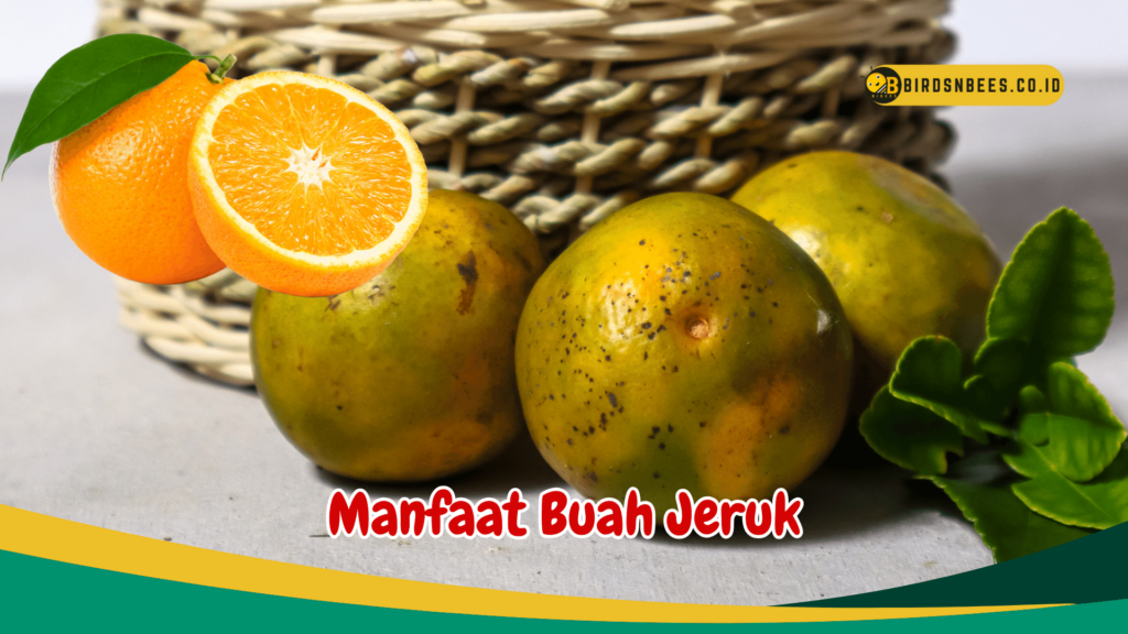 Manfaat Buah Jeruk