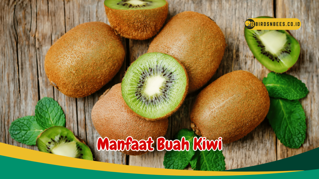 Manfaat Buah Kiwi