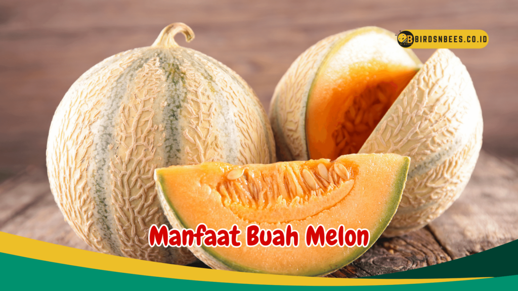 Manfaat Buah Melon