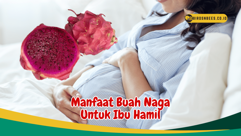 Manfaat Buah Naga Untuk Ibu Hamil