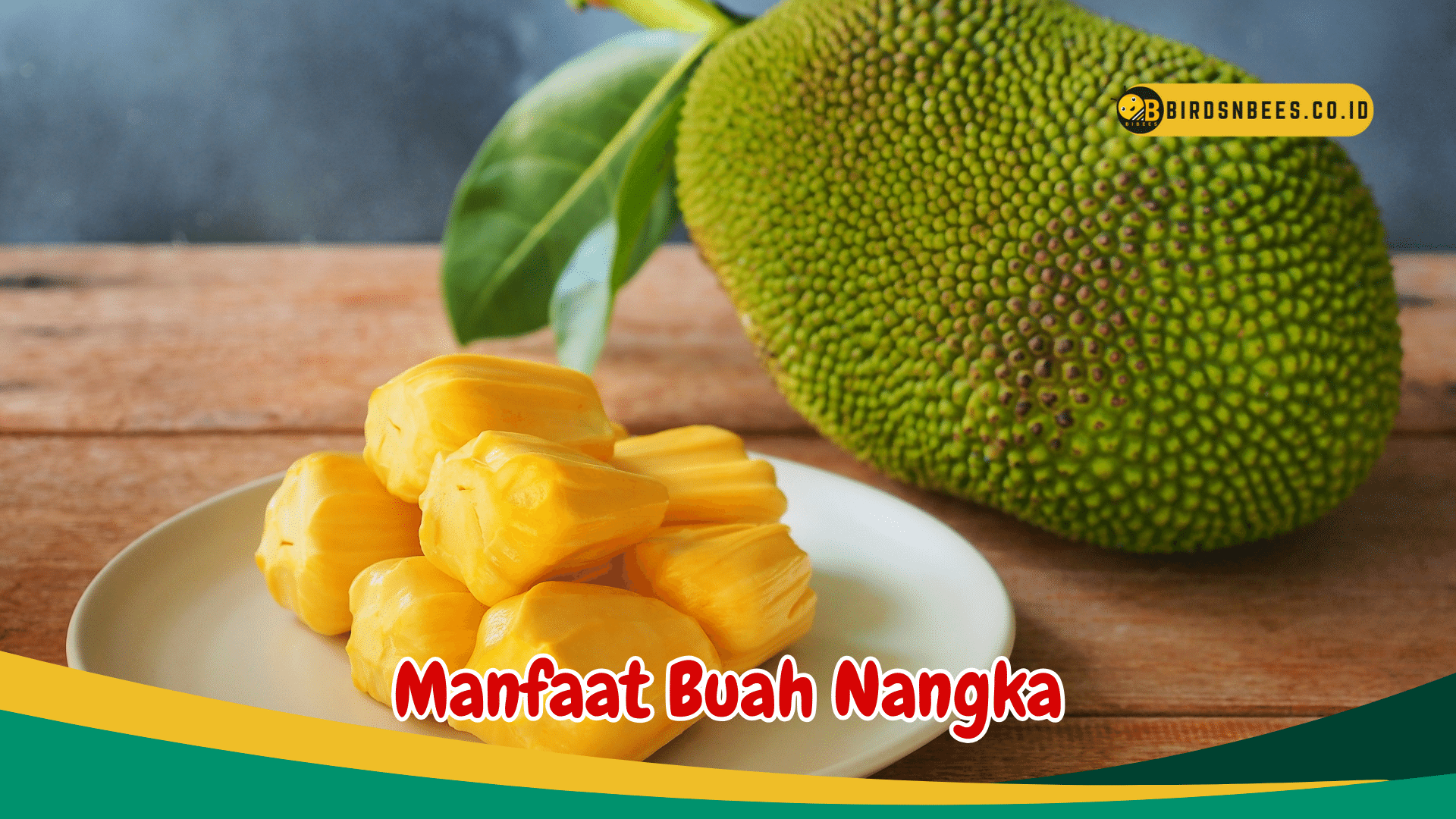 6 Manfaat Buah Nangka Untuk Tubuh Kita Salah Satunya Meningkatkan