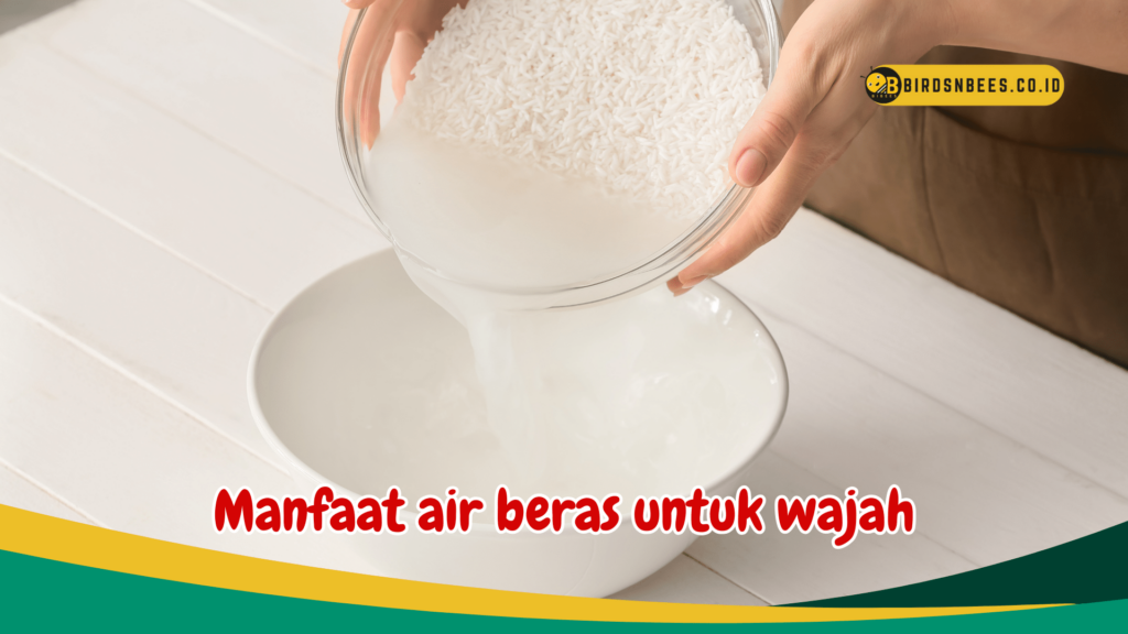 Manfaat air beras untuk wajah