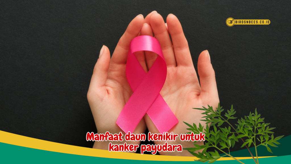 Manfaat daun kenikir untuk kanker payudara