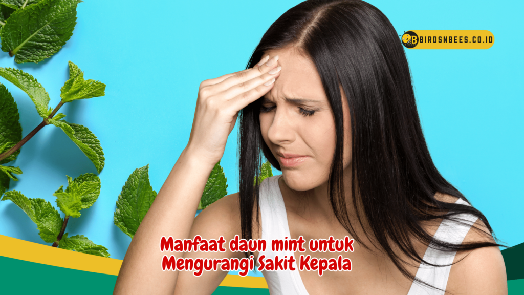 Manfaat daun mint untuk Mengurangi Sakit Kepala