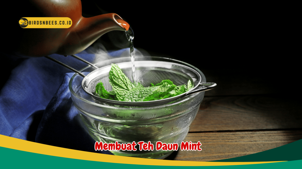 Membuat Teh Daun Mint