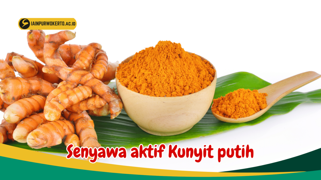 Senyawa aktif Kunyit putih