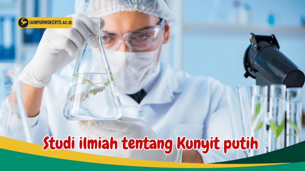 Studi ilmiah tentang Kunyit putih