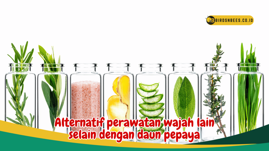 Alternatif perawatan wajah lain selain dengan daun pepaya