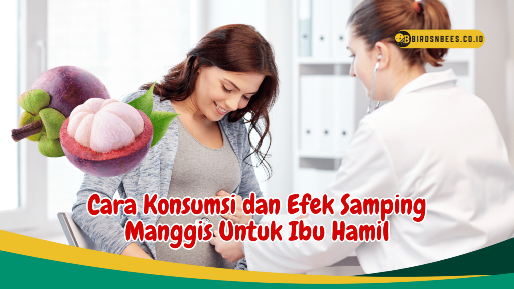 Cara Konsumsi dan Efek Samping Manggis Untuk Ibu Hamil