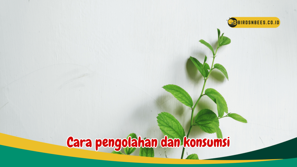 Cara pengolahan dan konsumsi