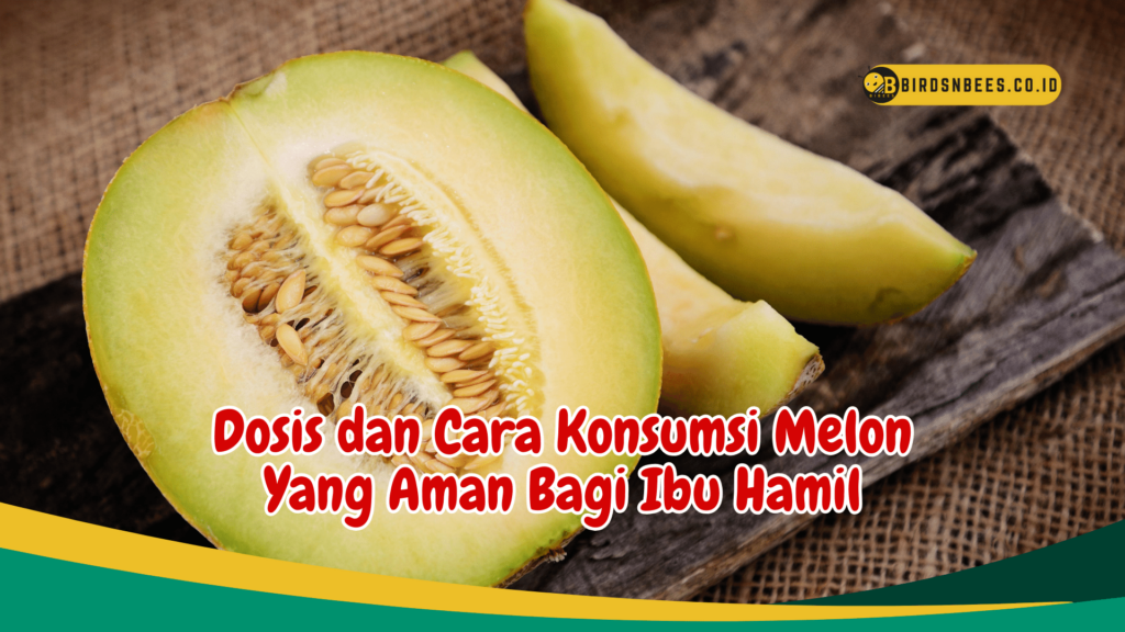 Dosis dan Cara Konsumsi Melon Yang Aman Bagi Ibu Hamil