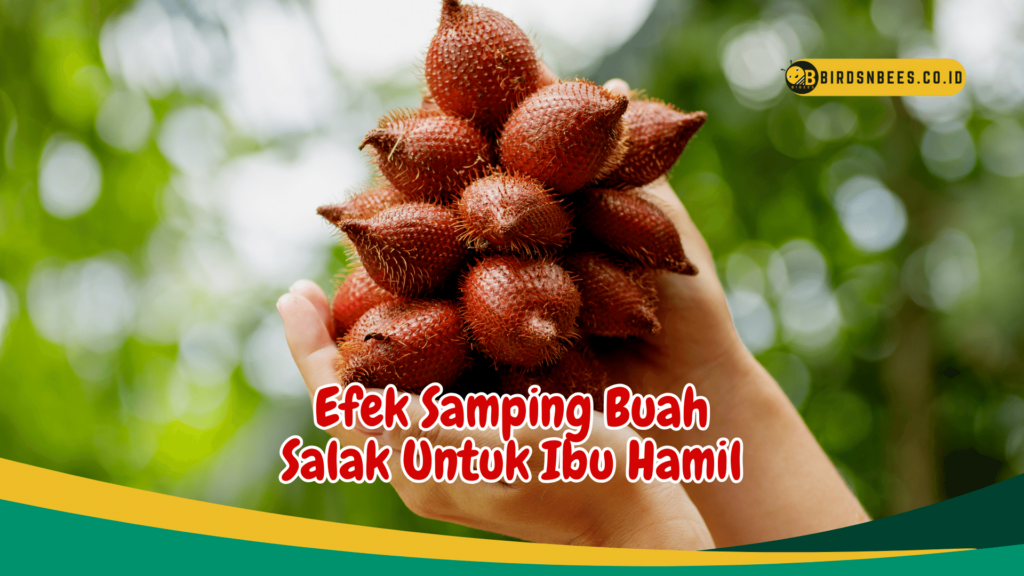 Efek Samping Buah Salak Untuk Ibu Hamil