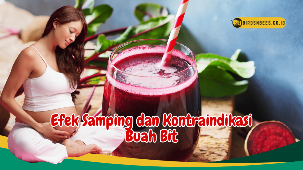 Efek Samping dan Kontraindikasi Buah Bit