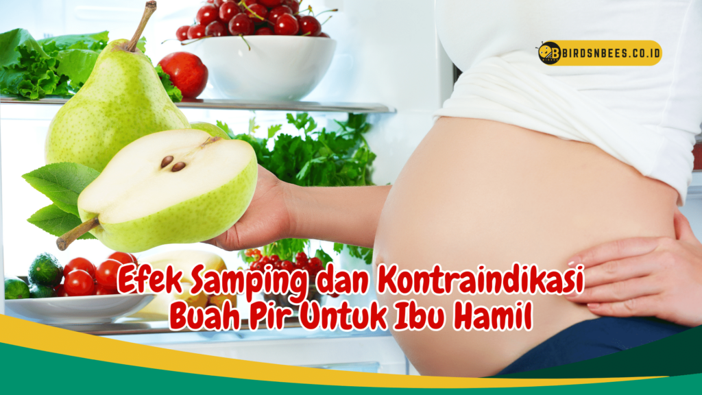 Efek Samping dan Kontraindikasi Buah Pir Untuk Ibu Hamil