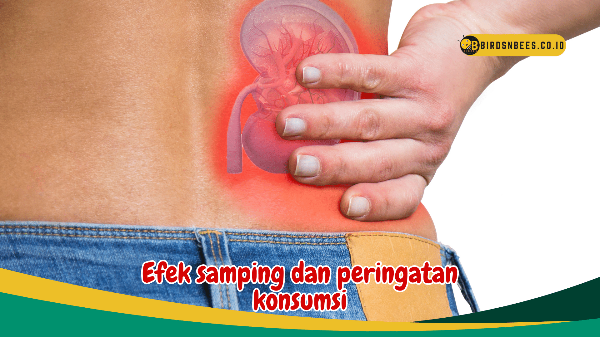 Manfaat Daun Ubi Jalar Sebagai Anti Oksidan Alami Bisa Mencegah Anemia