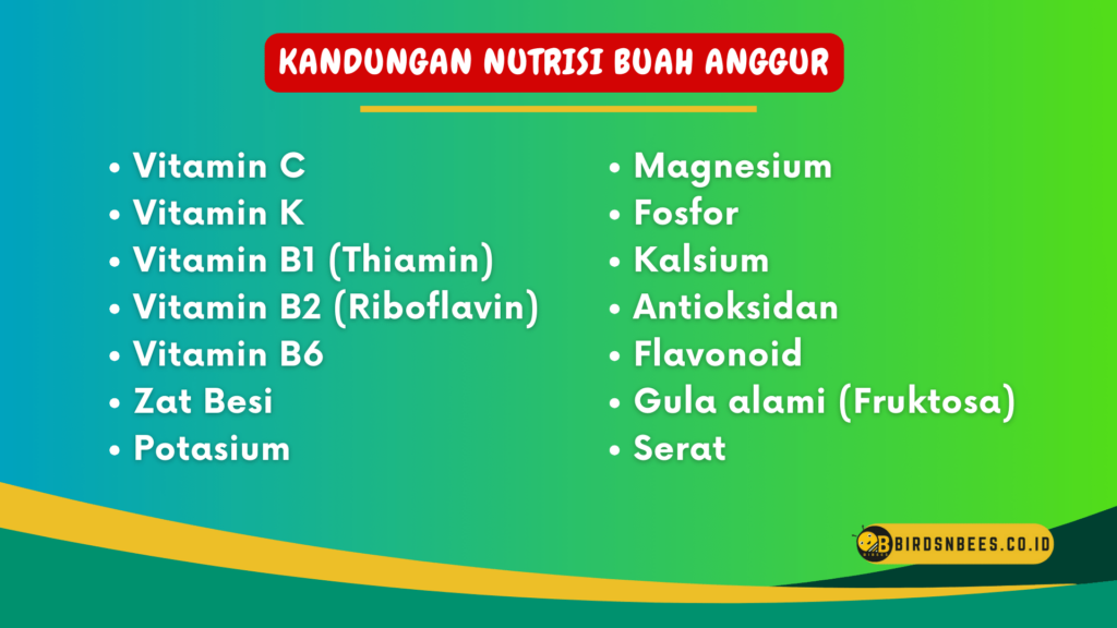 Kandungan Nutrisi Buah Anggur