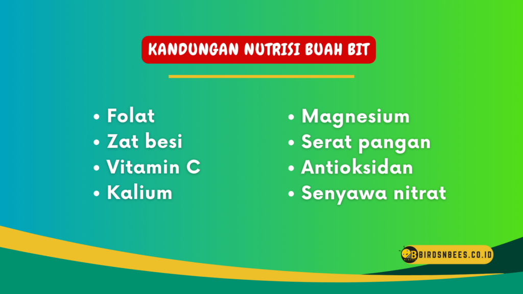 Kandungan Nutrisi Buah Bit