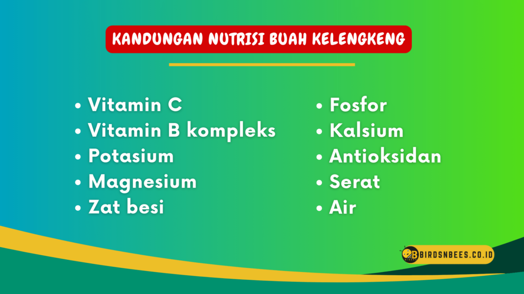 Kandungan Nutrisi Buah Kelengkeng