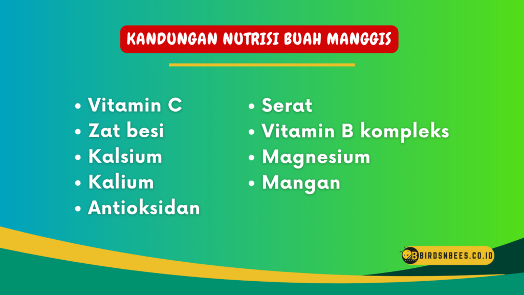 Kandungan Nutrisi Buah Manggis