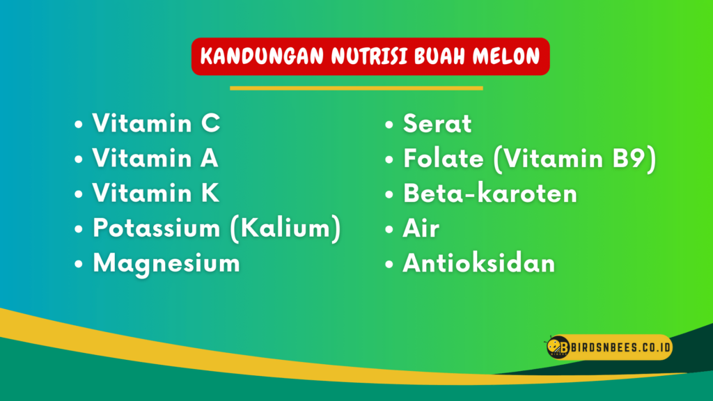 Kandungan Nutrisi Buah Melon