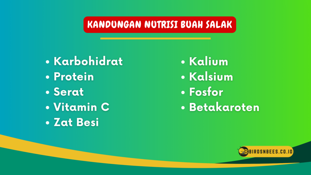 Kandungan Nutrisi Buah Salak